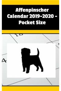 Affenpinscher Calendar 2019-2020 - Pocket Size