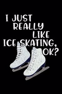 I Just Really Like Ice Skating Ok?