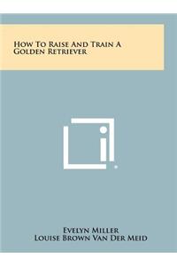 How To Raise And Train A Golden Retriever