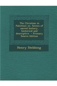 The Christian in Palestine; Or, Scenes of Sacred History, Historical and Descriptive