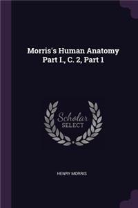 Morris's Human Anatomy Part I., C. 2, Part 1