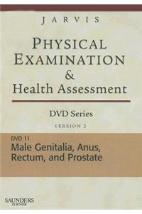 Physical Examination and Health Assessment DVD Series: DVD 11: Male Genitalia, Version 2