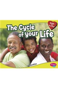 The Cycle of Your Life