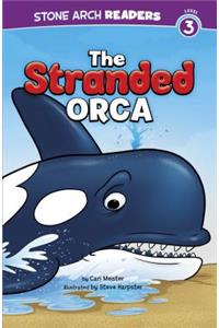 The Stranded Orca