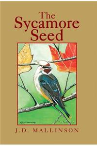 Sycamore Seed