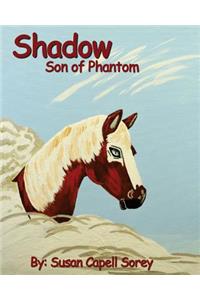 Shadow Son of Phantom