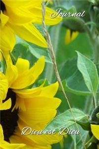 Journal, Dieu Est Dieu