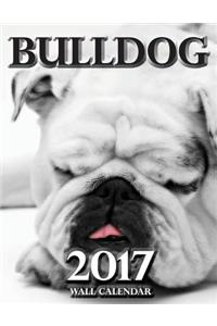 Bulldog 2017 Wall Calendar (UK Edition)