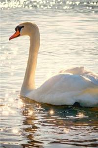 An Elegant White Swan Gliding on the Lake Journal