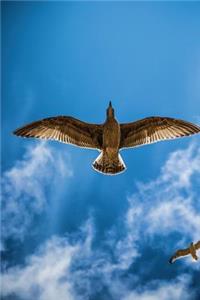 Seagull Notebook