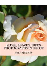 Roses, Leaves, Trees - Photographs in Color