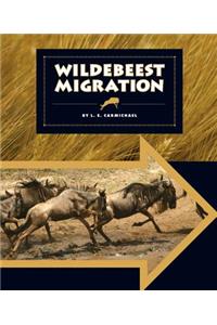 Wildebeest Migration