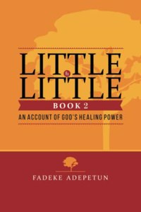 Little by Little- Book 2