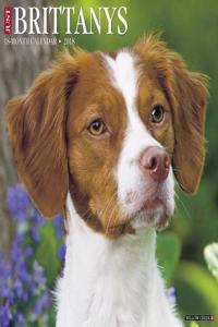 Just Brittanys 2018 Wall Calendar (Dog Breed Calendar)
