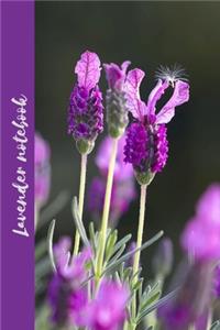 Lavender notebook