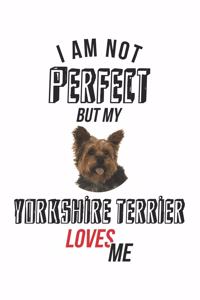 I'm not perfect, but my Yorkshire Terrier loves me