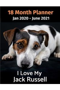 Jan 2020 - June 2021 18 Month Planner