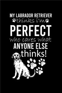 My Labrador Retriever Thinks I'm Perfect Who Cares What Anyone Else Thinks