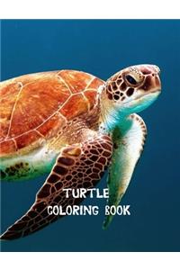 Turtle coloring book: Coloring Toy Gifts for Toddlers, Kids or Adult Relaxation Cute Easy and Relaxing Realistic Large Print Birthday Gifts