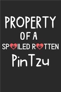 Property Of A Spoiled Rotten PinTzu
