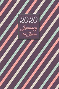 Daily Planner 2020 January - June