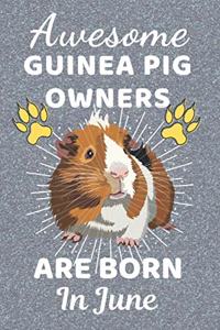 Awesome Guinea Pig Owners Are Born In June