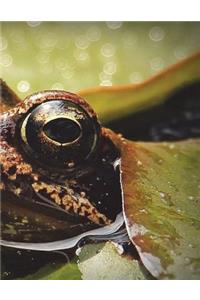 Frog Notebook Large Size 8.5 x 11 Ruled 150 Pages
