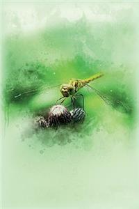Dragonfly Journal Green