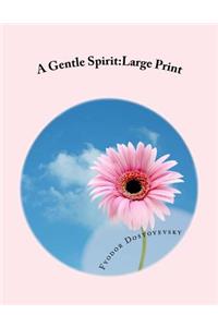 A Gentle Spirit