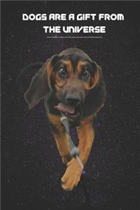 Dogs Are a Gift from the Universe Lined Composition Notebook with 100 Quotes about Man's Best Friend Bloodhound Ed.