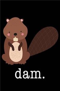 Dam.