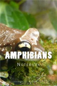 Amphibians: Notebook