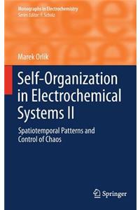 Self-Organization in Electrochemical Systems II