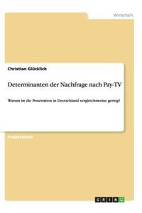 Determinanten der Nachfrage nach Pay-TV