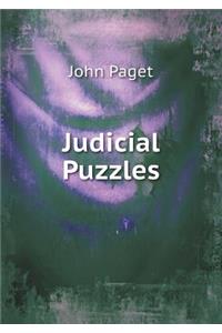Judicial Puzzles