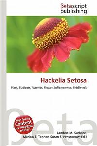 Hackelia Setosa