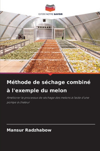 Méthode de séchage combiné à l'exemple du melon