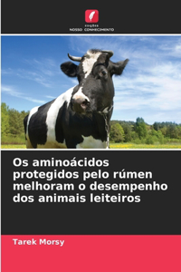 Os aminoácidos protegidos pelo rúmen melhoram o desempenho dos animais leiteiros