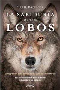 Sabiduria de Los Lobos, La