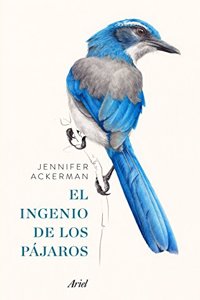 El ingenio de los pajaros