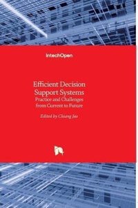 Efficient Decision Support Systems