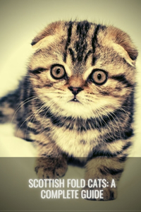 Scottish Fold Cats