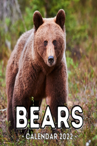 Bears Calendar 2022
