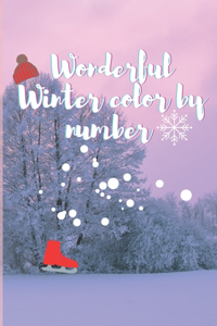 Wonderful Winter color by number