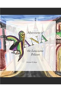 Adventures of Ana the Louisiana Pelican