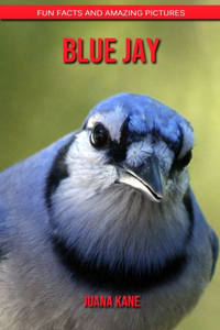 Blue Jay