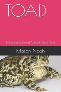 Toad