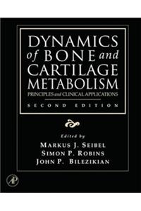Dynamics of Bone and Cartilage Metabolism