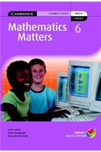 Mathematics Matters Grade 6 Learner's Book