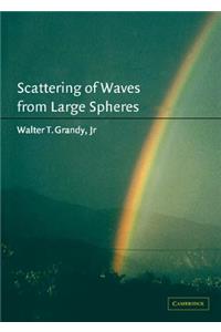 Scattering of Waves from Large Spheres